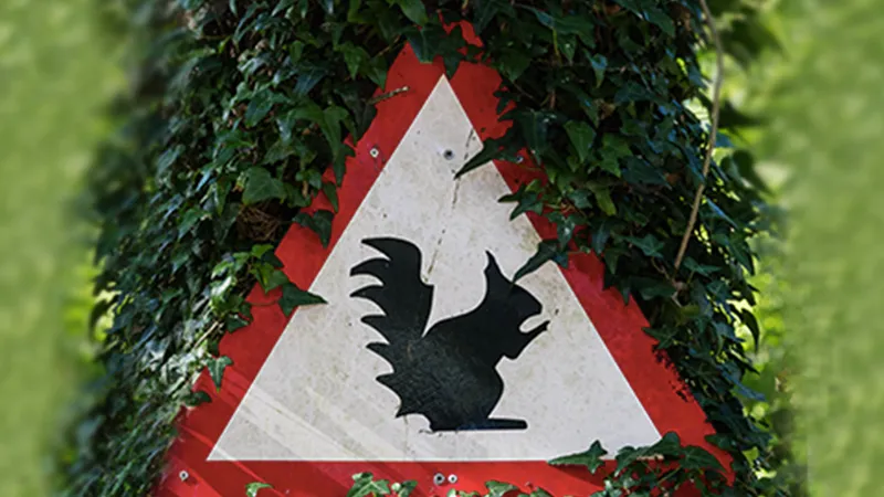 CloudSquirrel Malware Squirrels Away Sensitive User Data Using Popular Cloud Apps