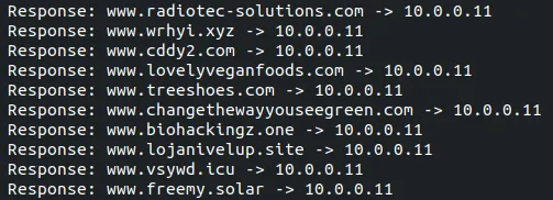 Screenshot of Formbook trying to connect to domains.