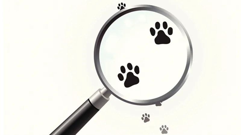 Poodle Attack: 1,632 Cloud Apps Vulnerable