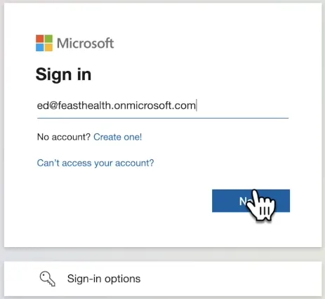 Screenshot of user entering username