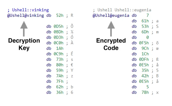 Example of decryption key and encrypted code stored in the “.data” section of the second stage