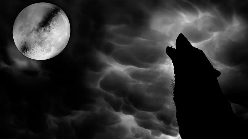 Targeted Attack BadWolf Exploits Office Vulnerabilities to Exfiltrate Data